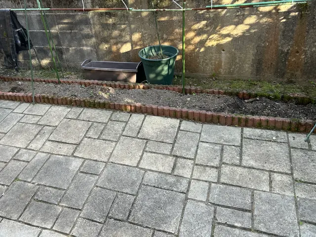 【女性スタッフ同行可◎】プロの技術で納得の仕上がりに！ご要望にお応えします。サービスの画像