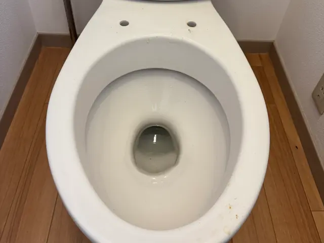 ★トイレクリーニング込み価格★追加料金一切なし★損害保険加入済みで任せて安心！サービスの画像