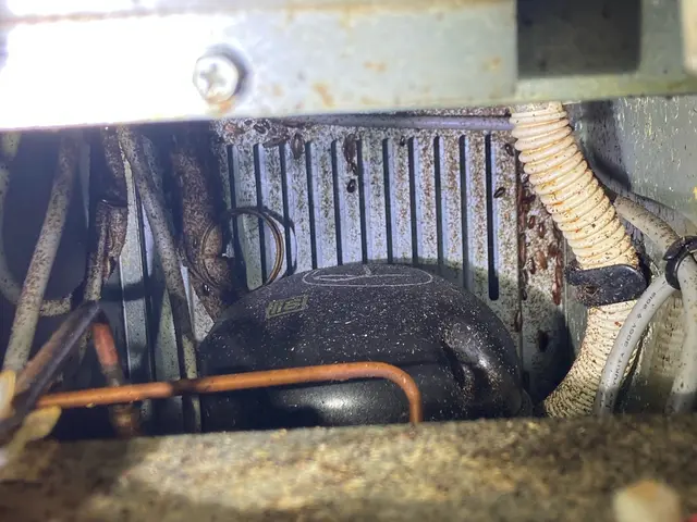 ☆出店5周年キャンペーン☆通常価格→30%OFF中★4年連続アワード受賞店サービスの画像