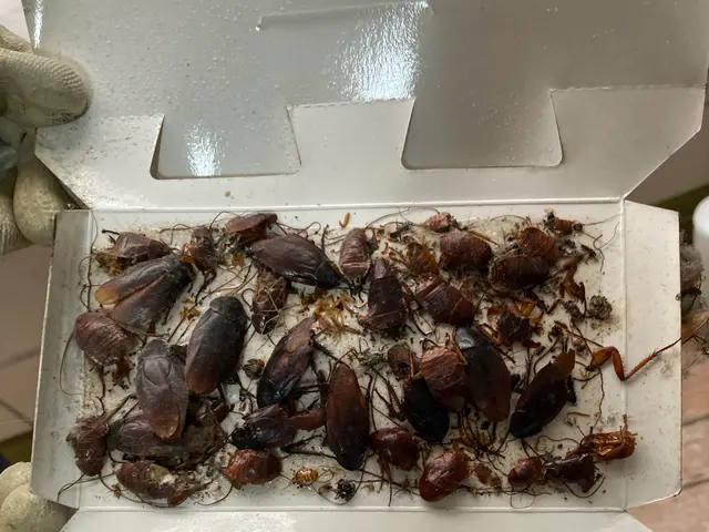 ☆出店5周年キャンペーン☆通常価格→30%OFF中★4年連続アワード受賞店サービスの画像