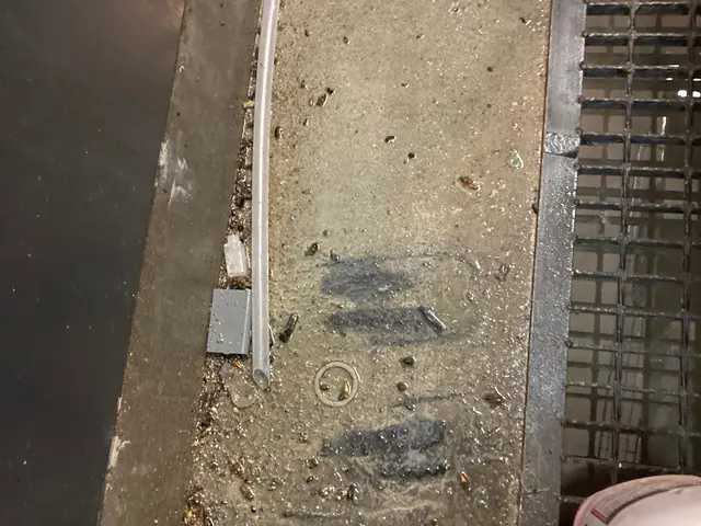 ☆出店5周年キャンペーン☆通常価格→30%OFF中★4年連続アワード受賞店サービスの画像