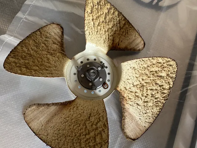 レンジフード　プロペラタイプクリーニングサービスの画像