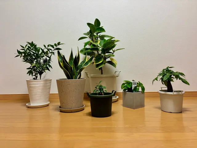 【作業実績150件以上】◆3月13日即日対応可能です◆植え替えお任せください！サービスの画像