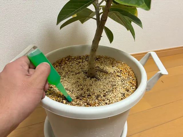 【作業実績150件以上】◆3月13日即日対応可能です◆植え替えお任せください！サービスの画像