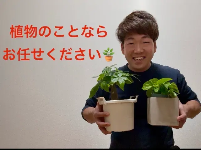 【作業実績150件以上】◆3月13日即日対応可能です◆植え替えお任せください！サービスの画像