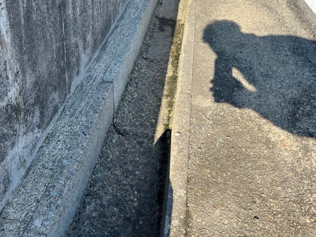 ★キャンペーン開催中★ 現在の価格先着10名様サービスの画像