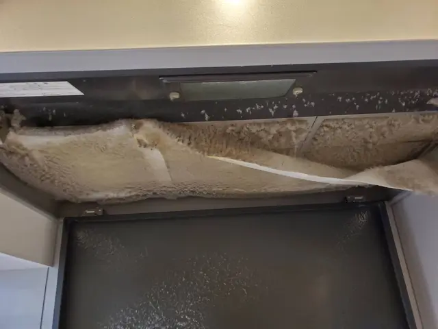 ◆お掃除片付けが大好きな店長の私がお伺いします◎経験豊富◎損害保険加入サービスの画像