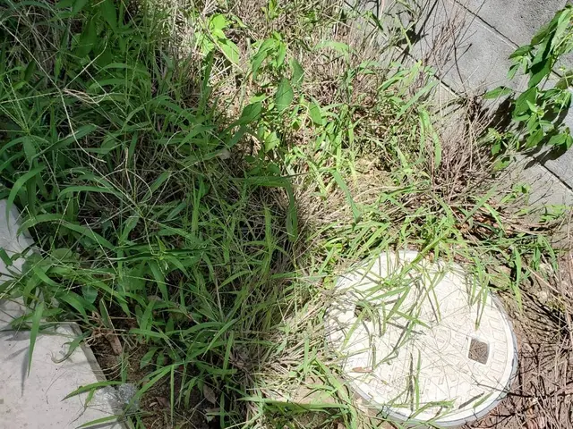 ◆お掃除片付けが大好きな店長の私がお伺いします◎経験豊富◎損害保険加入サービスの画像