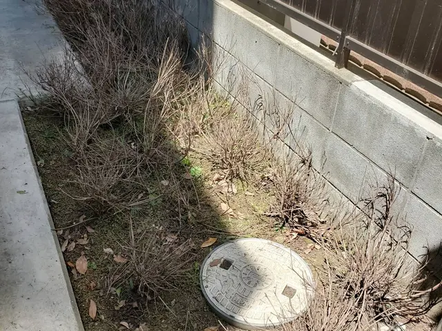 ◆お掃除片付けが大好きな店長の私がお伺いします◎経験豊富◎損害保険加入サービスの画像