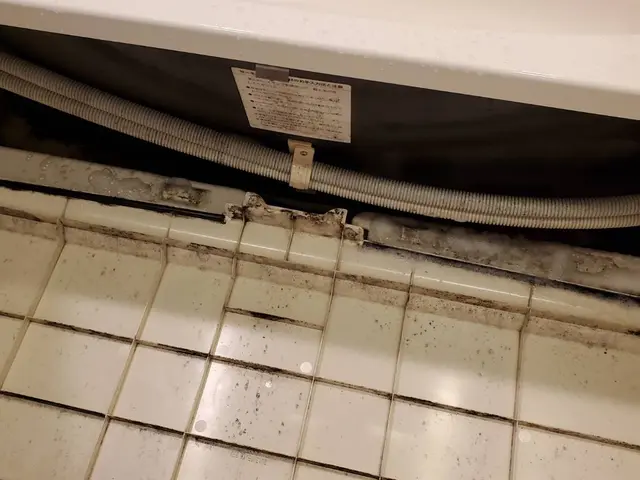 ◆お掃除片付けが大好きな店長の私がお伺いします◎経験豊富◎損害保険加入サービスの画像