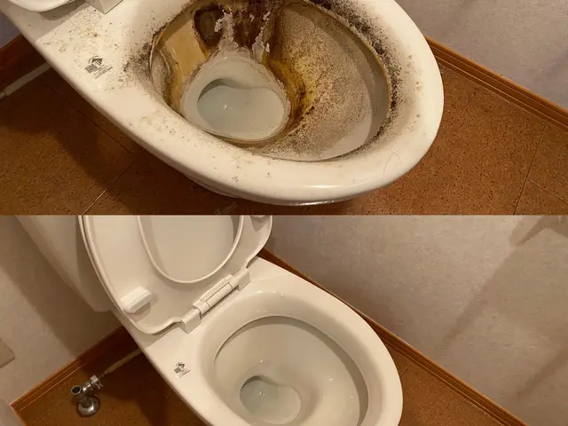 セットが圧倒的にお得！！女性スタッフ同行で時短で子育て、単身世帯も安心♪サービスの画像