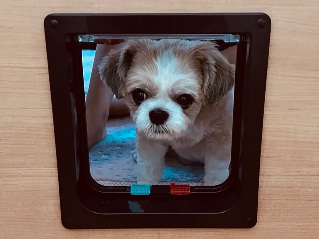 ストレスフリー✮ワンちゃん＆ネコちゃんが家中をワープ♡✮エアコン冷暖房安定✮福岡サービスの画像