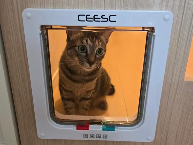 ストレスフリー✮ワンちゃん＆ネコちゃんが家中をワープ♡✮エアコン冷暖房安定✮福岡サービスの画像