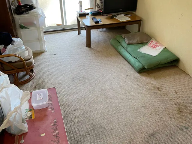 掃除が苦手、面倒！時間がない！24時間対応致します。ご家庭住居、一人暮らし住居サービスの画像