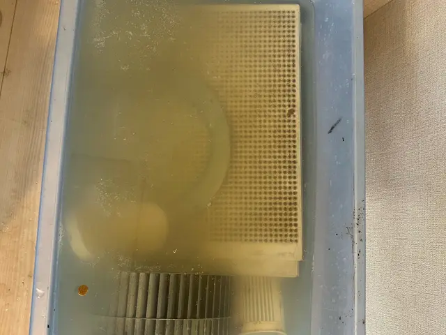 女性スタッフ同行OK！作業外注一切なし！損害保険加入済みで安心◎サービスの画像