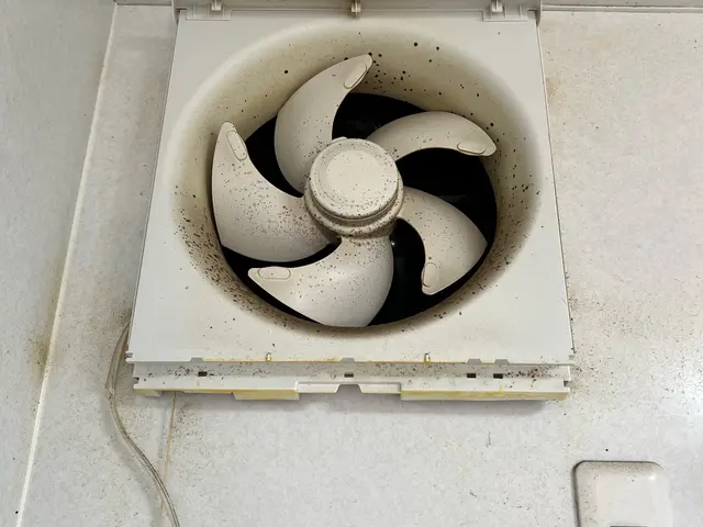 女性スタッフ同行OK！作業外注一切なし！損害保険加入済みで安心◎サービスの画像