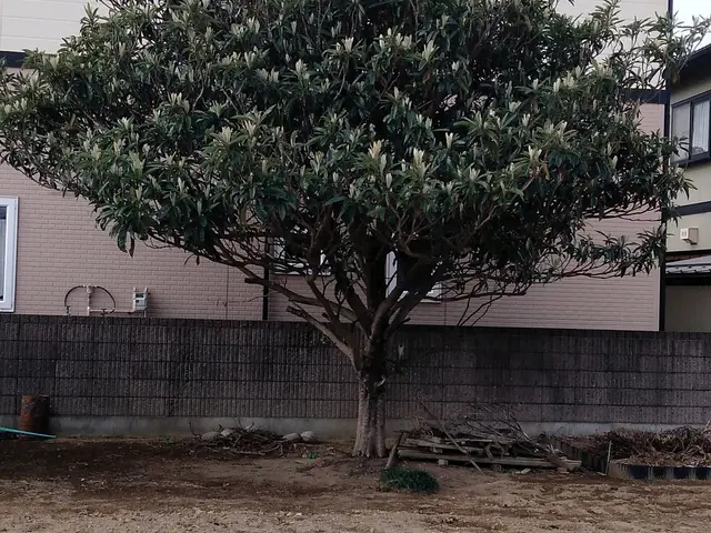 《業歴30年》年中無休！損害保険加入済み！数年後を見据えた提案・作業をいたしますサービスの画像