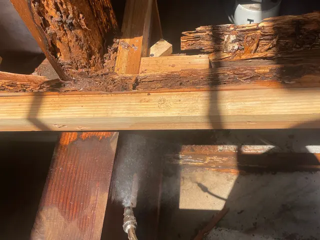 迅速対応が好評です！サービスの画像