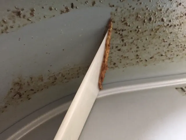 おかげさまで12周年！お見積り無料！ぜひお気軽にご相談ください♪サービスの画像