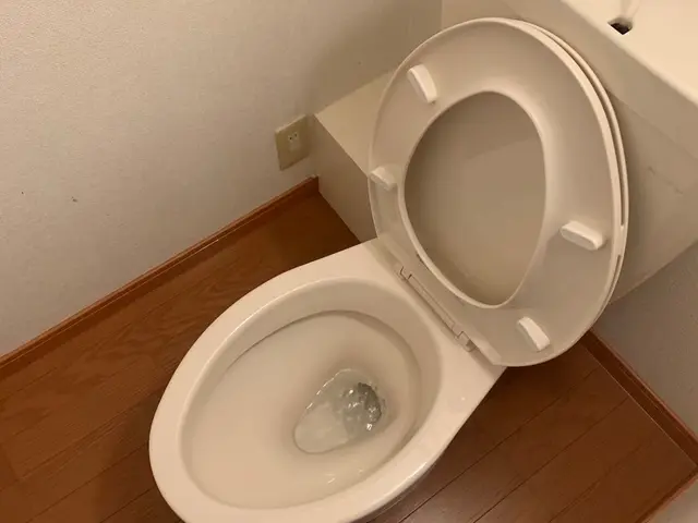 《関西・非喫煙》頑固な水回りのクリーニングはまとめて当店にお任せ下さい！サービスの画像