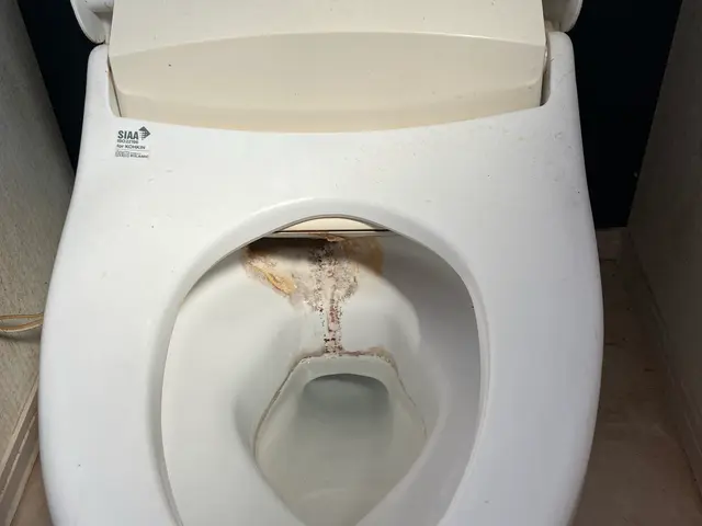 早めの大掃除はセットでお得に！12月のご予約受付中！サービスの画像