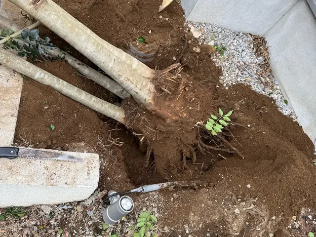 プロの技術でご満足いただけるように心を込めて作業いたしますサービスの画像