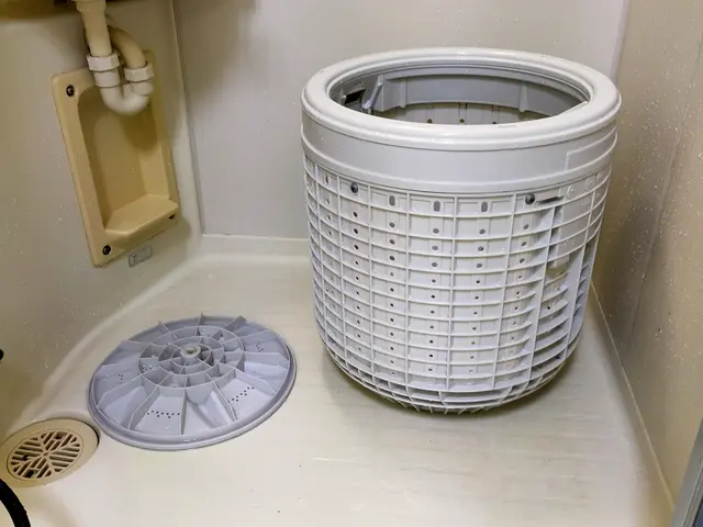 女性スタッフ同行OK！損害保険加入！予約可能！コロナ対策◎追加料金一切なし！サービスの画像