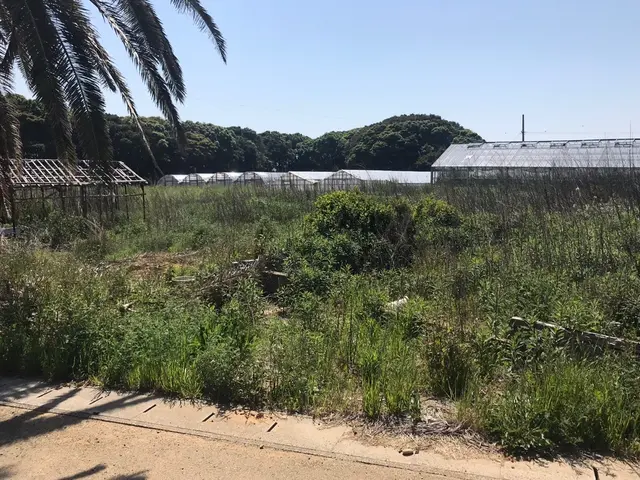 ◇女性スタッフ同行可能◇万が一の損害保険加入済み！生活をサポートします！サービスの画像