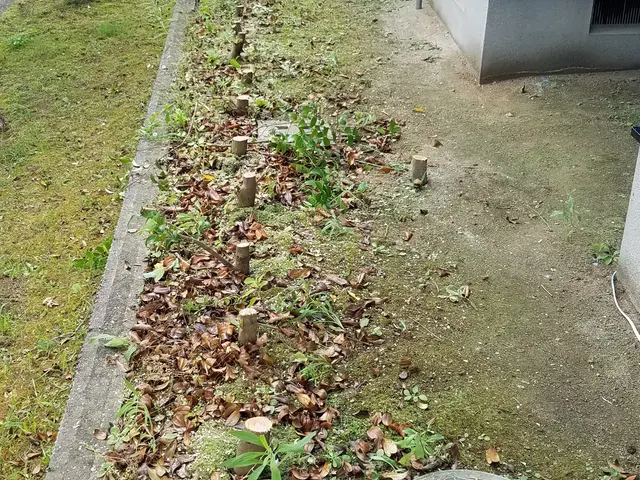 ＜大手の業務経験も豊富◎＞自信の完全自社対応！アフターフォローもバッチリ！サービスの画像