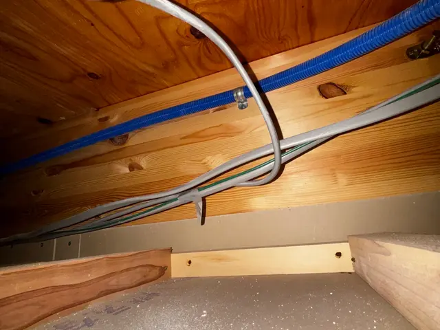 ☆新春キャンペーン料金50%オフ☆『虫バリア付き』【害虫駆除/クロアリ】サービスの画像