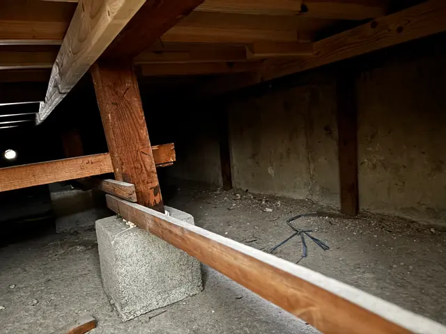 ☆新春キャンペーン料金50%オフ☆『虫バリア付き』【害虫駆除/クロアリ】サービスの画像