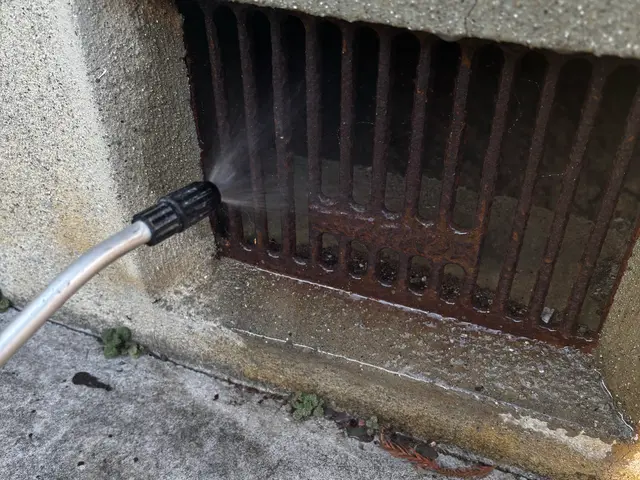 ☆新春キャンペーン料金50%オフ☆『虫バリア付き』【害虫駆除/クロアリ】サービスの画像