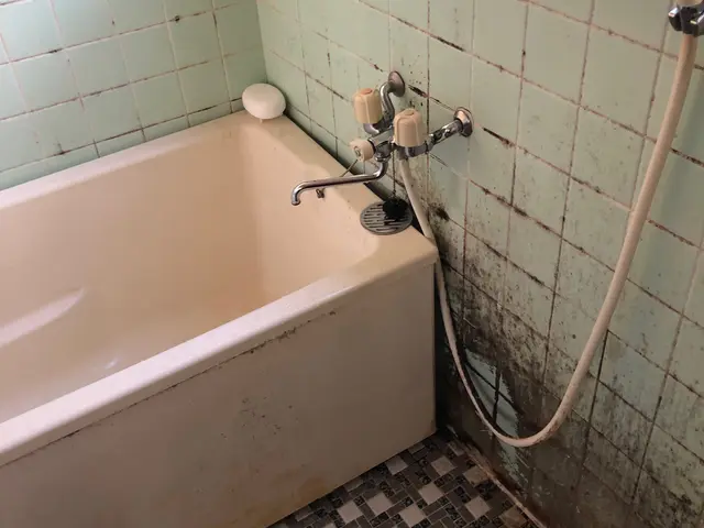 【水垢、カビ菌徹底除去！】プロが独自開発した専用の洗剤使用！★クレカ対応★サービスの画像