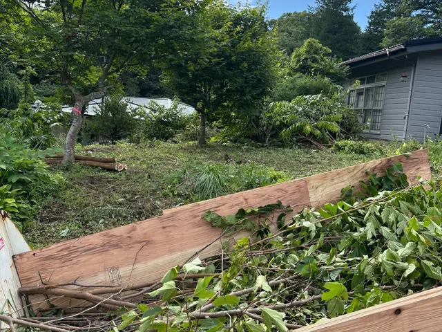 庭木の伐採、抜根サービスの画像