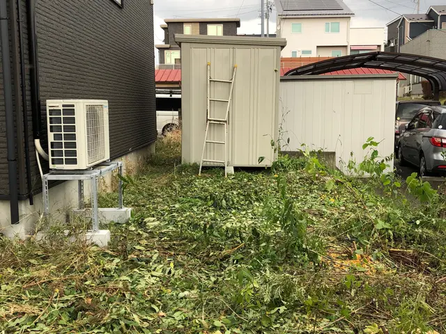 庭木の伐採、抜根サービスの画像