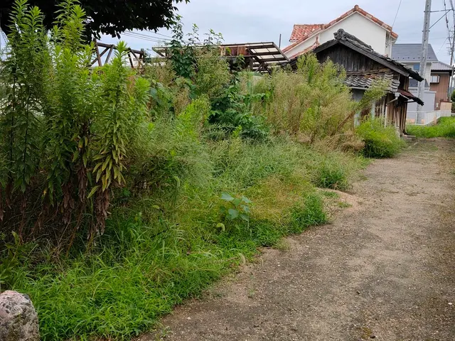 かとう造園【亀山市、鈴鹿市、四日市市、津市】一度ご相談ください。見積り無料サービスの画像