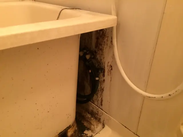 好評受付中サービスの画像