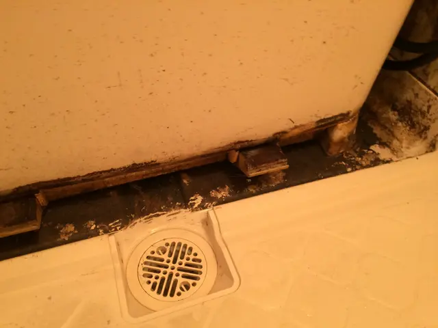 好評受付中サービスの画像