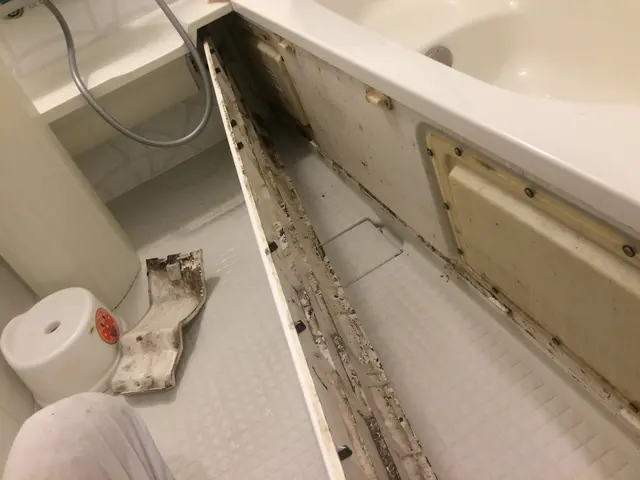 好評受付中サービスの画像