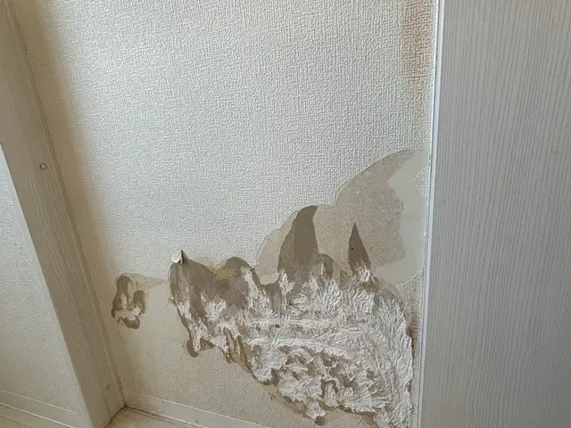 ペットと暮らすご家庭におすすめ。見た目もおしゃれに、清潔で快適なお部屋をキープ。サービスの画像