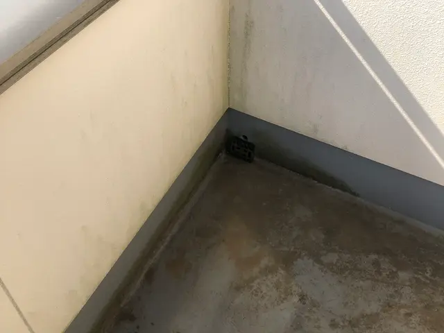 ■バルコニー徹底洗浄☆彡■コケ、砂埃、高圧洗浄‼︎■排水口の詰まりの確認◎サービスの画像