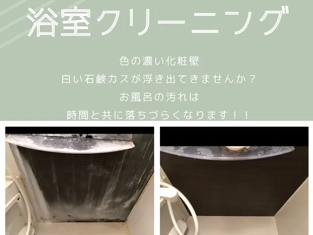 【天然洗剤・優良企業店！】自然にも体にも○ 安心と綺麗をお届けしますサービスの画像