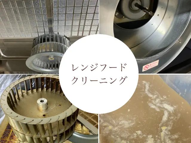 【天然洗剤・優良企業店！】自然にも体にも○ 安心と綺麗をお届けしますサービスの画像