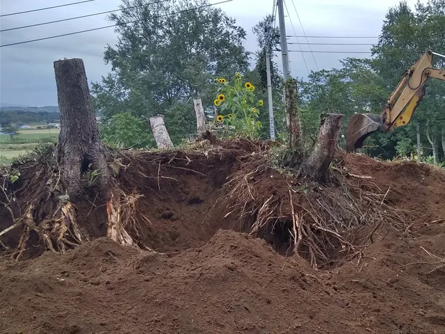 お客様のお力になります！経験と知識を活かして迅速丁寧に作業いたしますサービスの画像