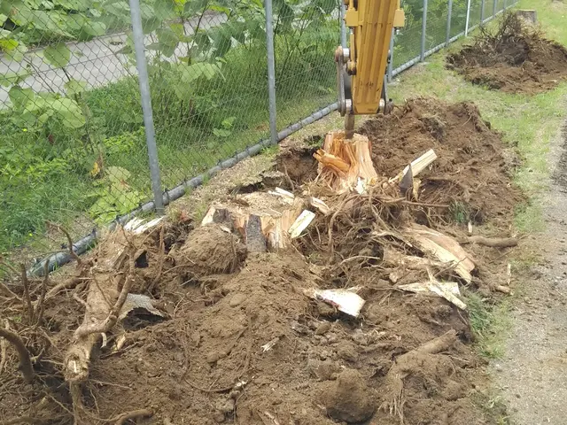 お客様のお力になります！経験と知識を活かして迅速丁寧に作業いたしますサービスの画像