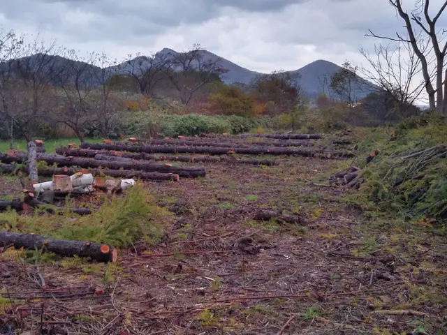 お客様のお力になります！経験と知識を活かして迅速丁寧に作業いたしますサービスの画像