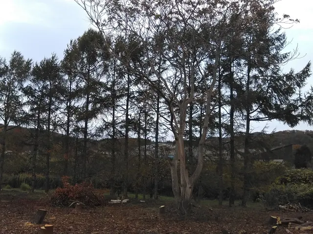 お客様のお力になります！経験と知識を活かして迅速丁寧に作業いたしますサービスの画像