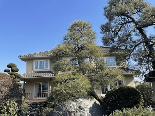 名工のもとで磨いた技で、木の未来まで整える剪定。サービスの画像