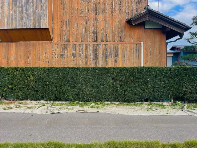 名工のもとで磨いた技で、木の未来まで整える剪定。サービスの画像