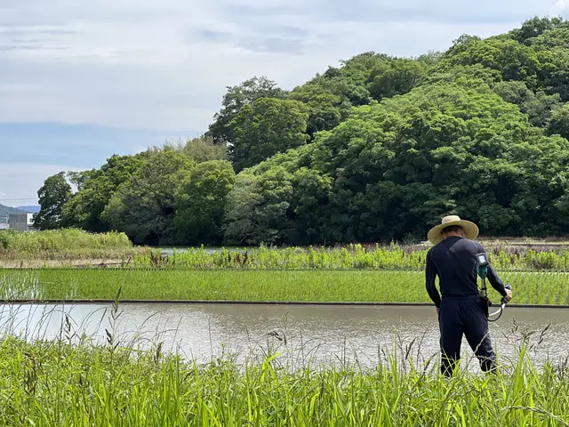【草刈り専門】クラン草刈りサービス|香川県全域OK！丁寧さ・迅速さに自信あり！サービスの画像